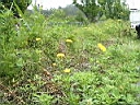 2005-06-27 046.JPG